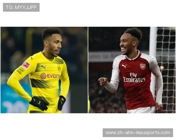 法甲外援市场表现回顾及其对球队经济收益的影响